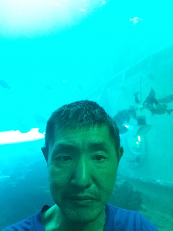 陸戰隊的第一张照片--桃园残疾人相亲网
